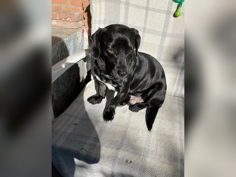 Brooklyn, geb. 11/2021, 32 cm, sucht geduldige Menschen