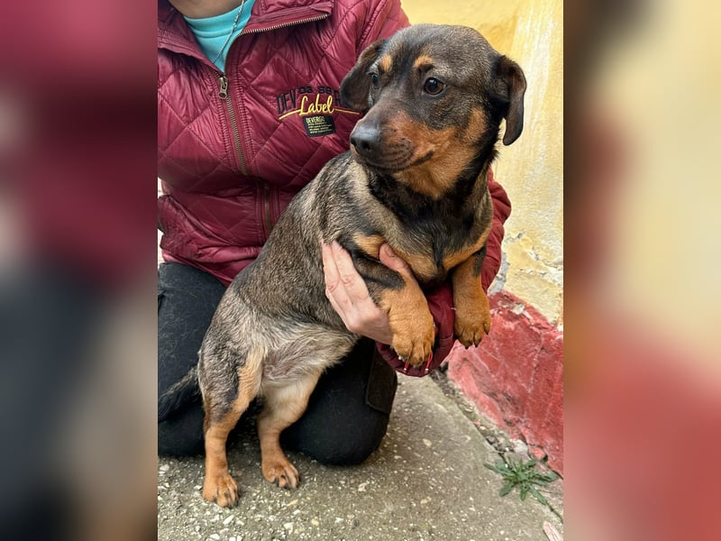 Corinna, geboren 07.06.2024, 30cm sucht ihr Glück