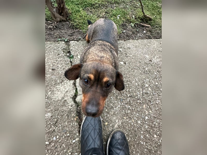 Corinna, geboren 07.06.2024, 30cm sucht ihr Glück
