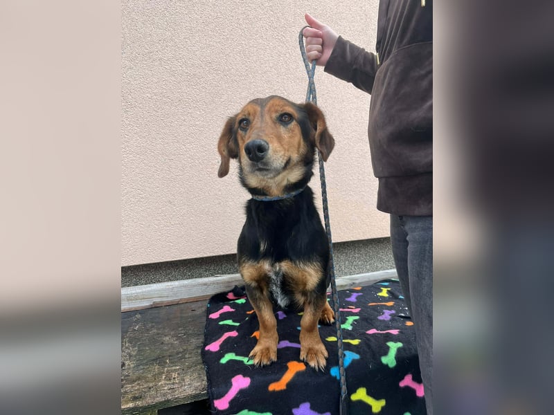 Muki, geboren 2023, 34cm sucht sein Zuhause