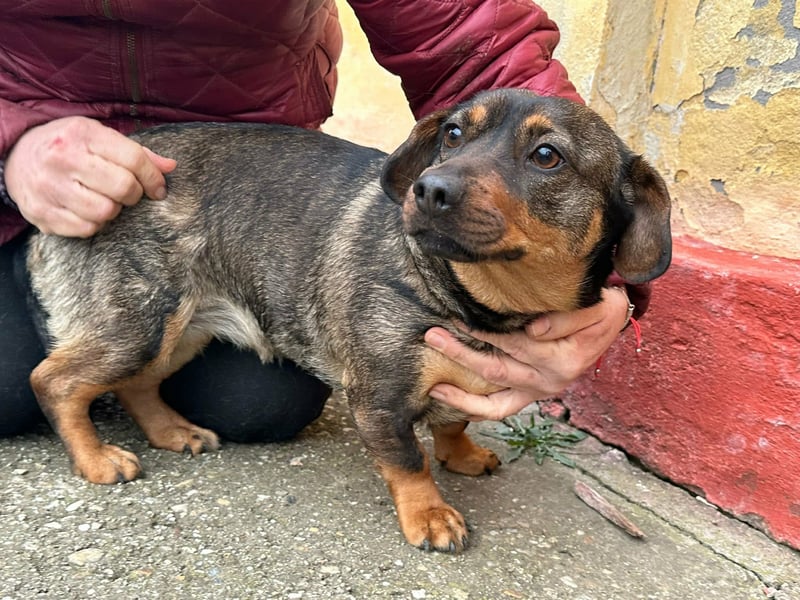 Corinna, geboren 07.06.2024, 30cm sucht ihr Glück
