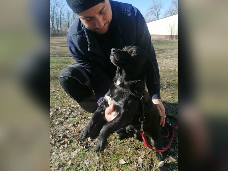 Brooklyn, geboren 01.11.2021, 32cm sucht sein Zuhause