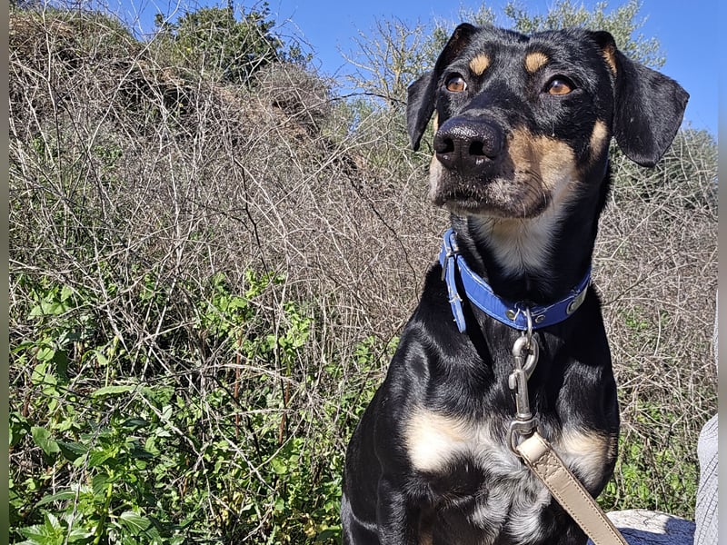 Otto: ein Schatz  für die ganze Familie