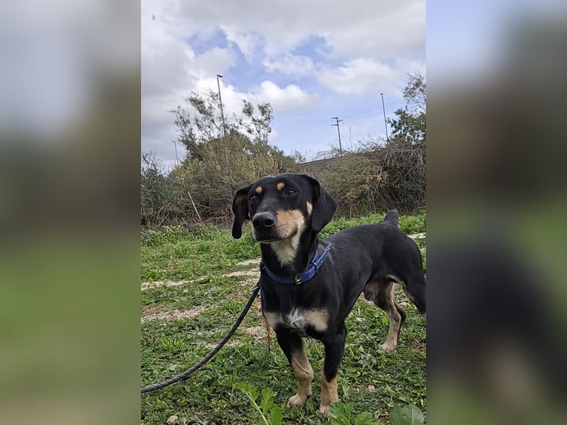 Otto: ein Schatz für überall mit Dabei