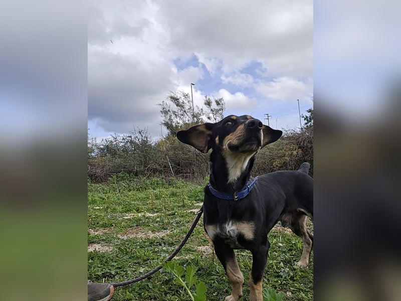 Otto: ein Schatz für überall mit Dabei