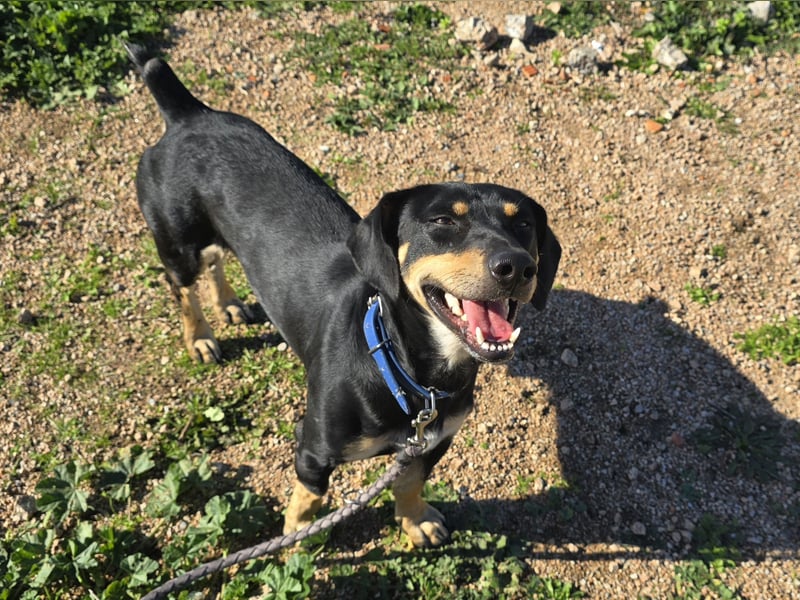 Otto: ein Schatz für überall mit Dabei