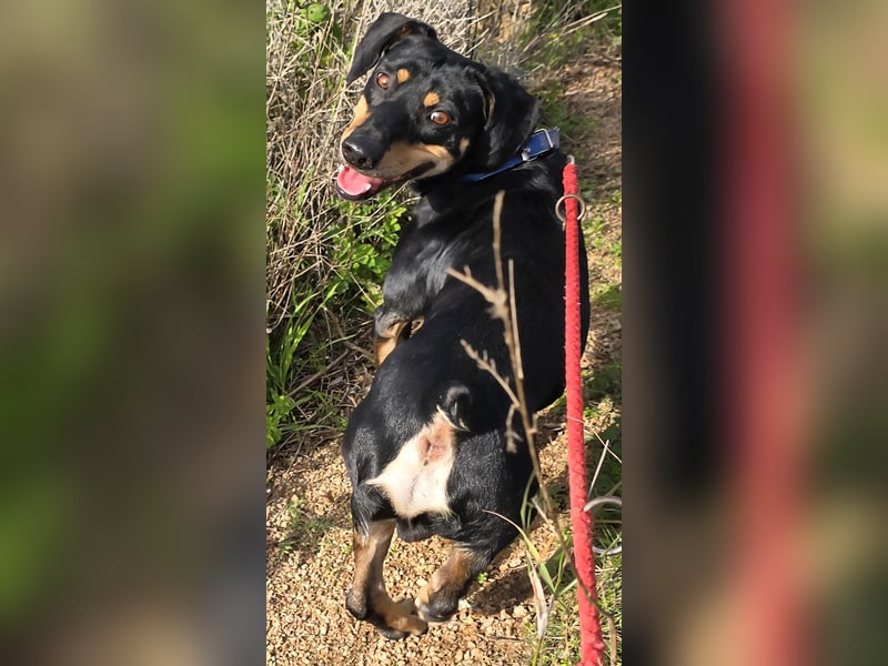 Otto: ein Schatz  für die ganze Familie