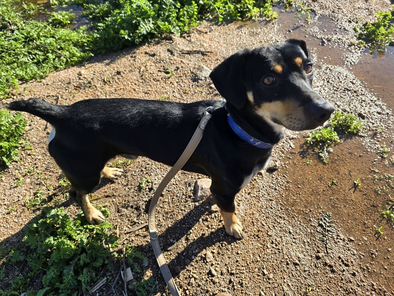 Otto: ein Schatz  für die ganze Familie