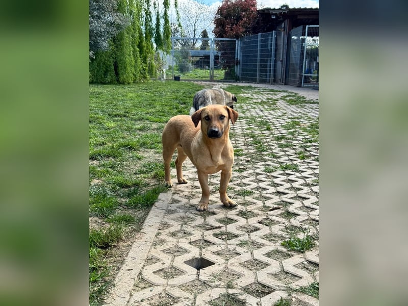 Hero sucht die richtigen Menschen