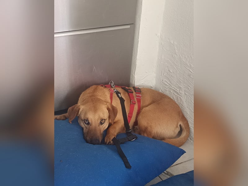Hero sucht die richtigen Menschen