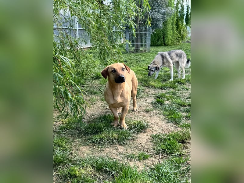 Hero sucht die richtigen Menschen