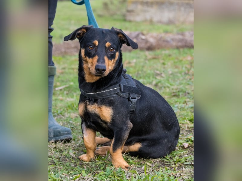 Hermina SI - menschenbezogen, lieb