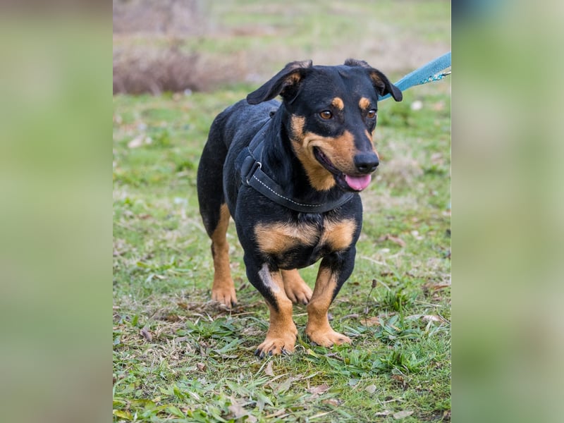 Hermina SI - menschenbezogen, lieb