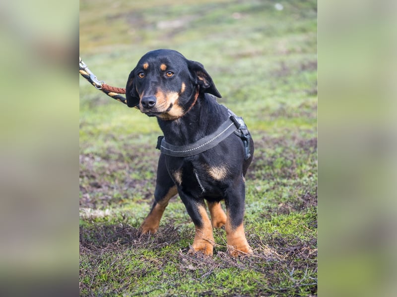 Tubi ST - offen, lieb