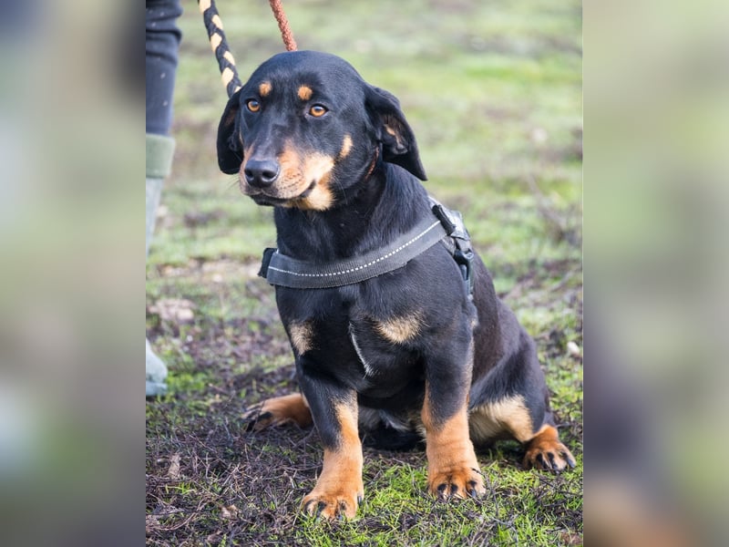 Tubi ST - offen, lieb