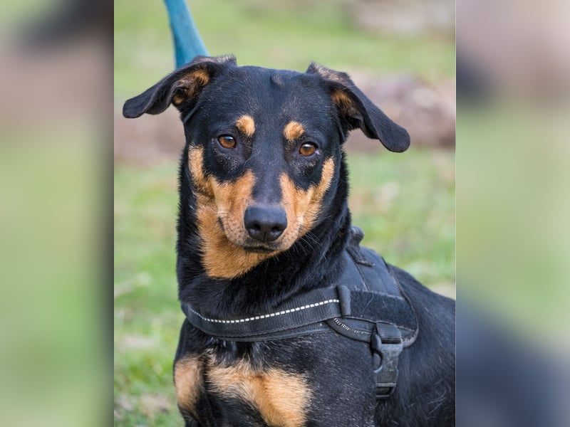 Hermina SI - menschenbezogen, lieb