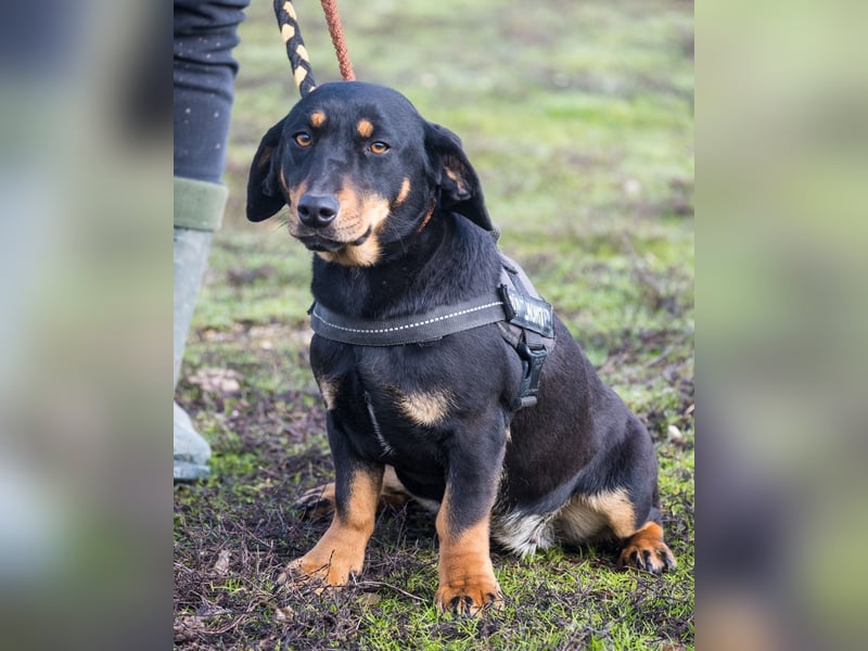 Tubi ST - offen, lieb