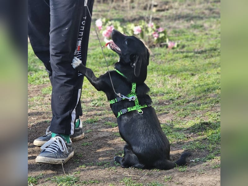 Ilse hat ein zauberhaftes, liebes Wesen