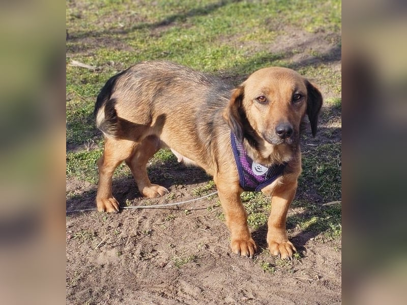 Bea bringt viel Persönlichkeit mit