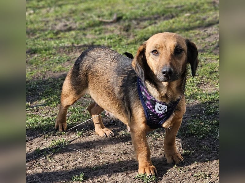 Bea bringt viel Persönlichkeit mit