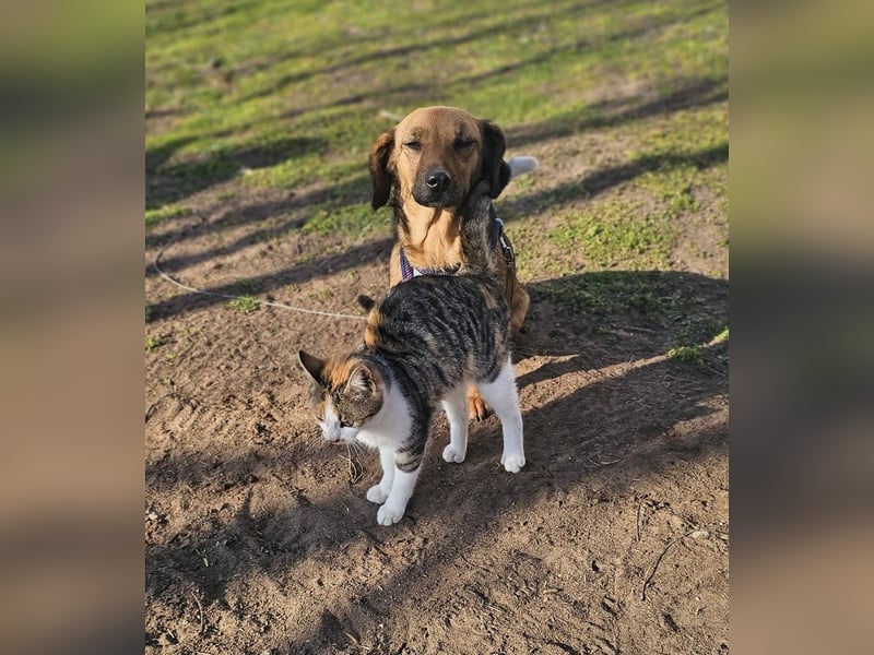 Bea bringt viel Persönlichkeit mit