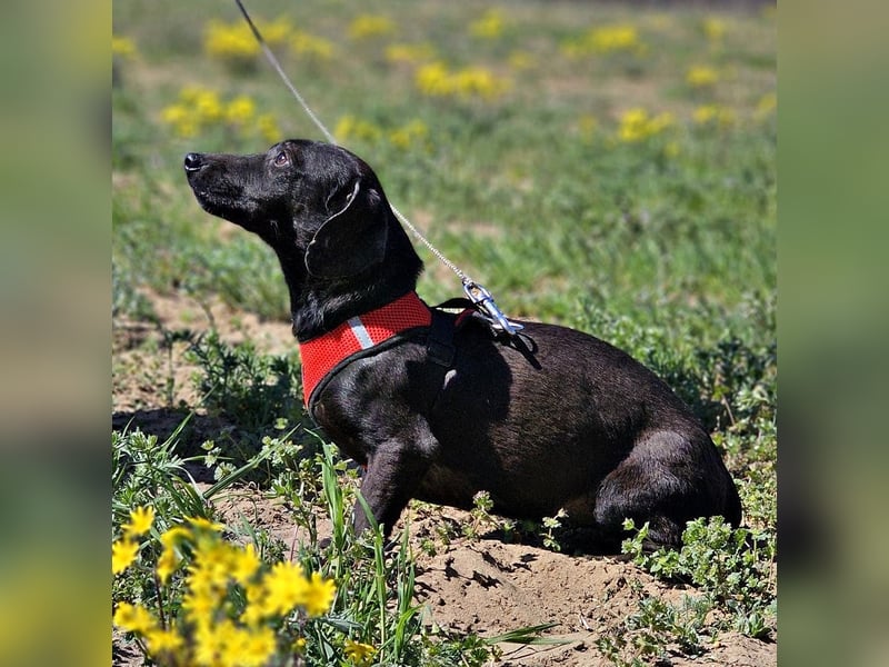 Anna zeigt ein gutes Sozialverhalten