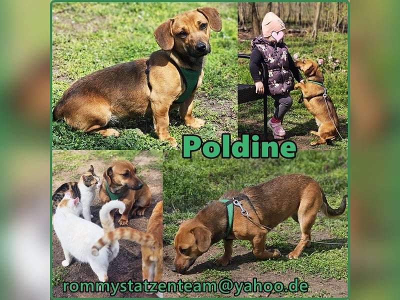 Poldine ist freundlich und aufgeweckt