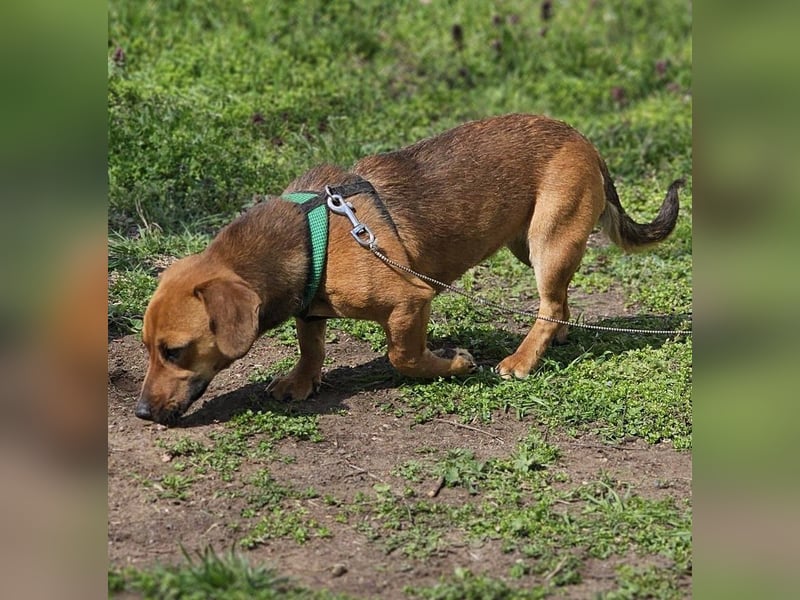 Poldine ist freundlich und aufgeweckt