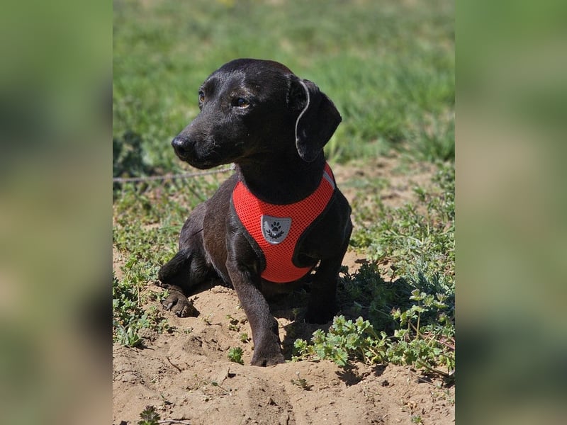 Anna zeigt ein gutes Sozialverhalten