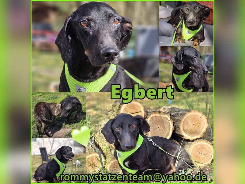 Egbert hat noch viel Freude an Bewegung
