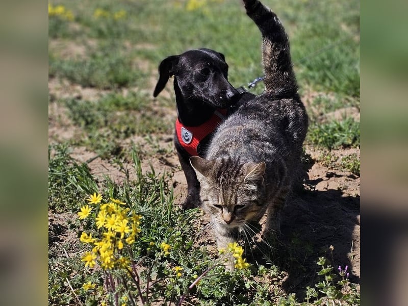 Anna zeigt ein gutes Sozialverhalten