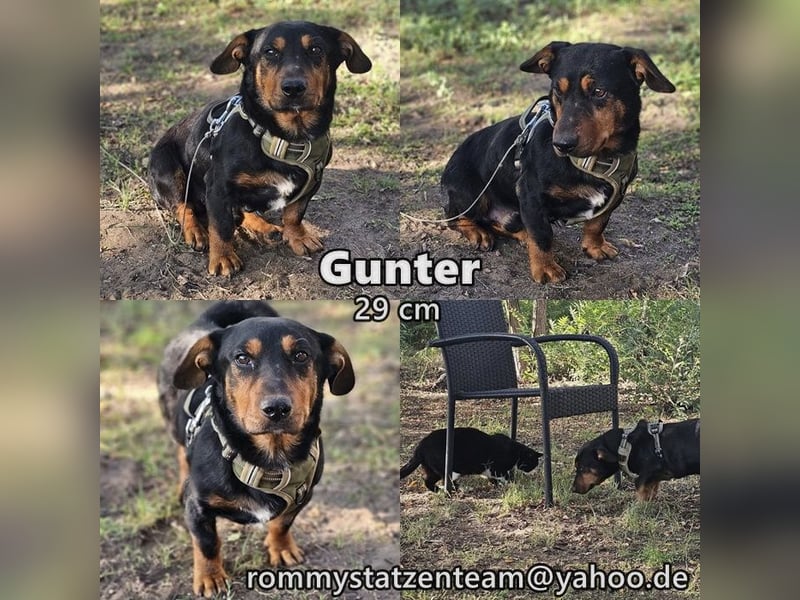 Gunter ist bereit, viel zu lernen