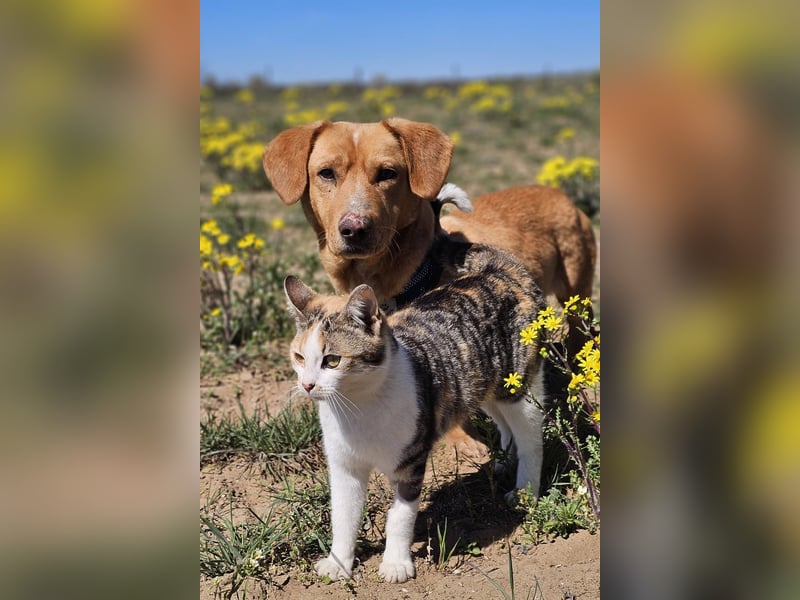 Kuno - lernfreudig und voller Energie