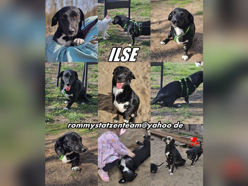 Ilse hat ein zauberhaftes, liebes Wesen