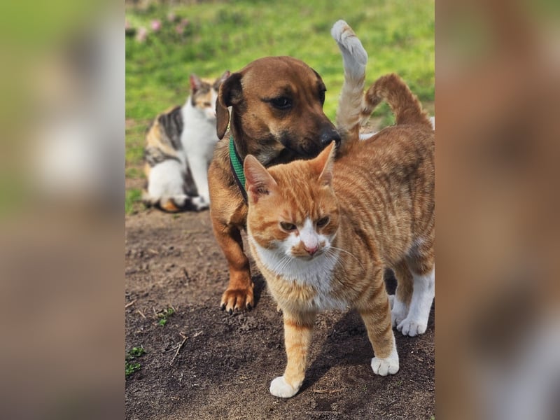 Poldine ist freundlich und aufgeweckt