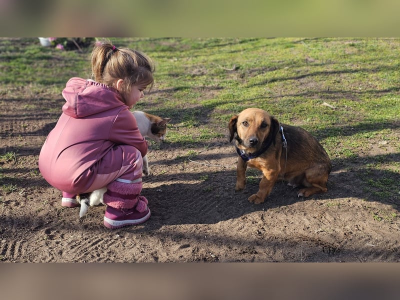 Bea bringt viel Persönlichkeit mit