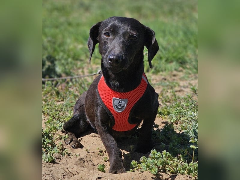 Anna zeigt ein gutes Sozialverhalten