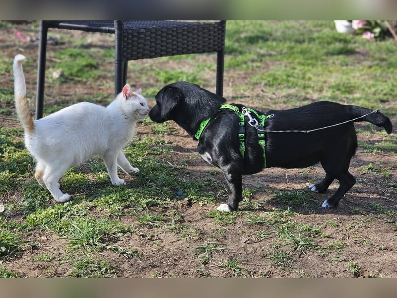 Ilse hat ein zauberhaftes, liebes Wesen