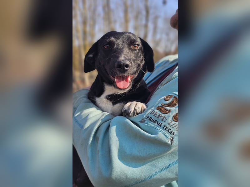 Ilse hat ein zauberhaftes, liebes Wesen