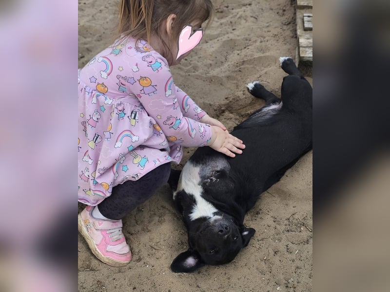 Ilse hat ein zauberhaftes, liebes Wesen