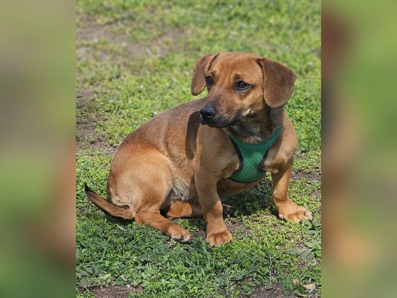 Poldine ist freundlich und aufgeweckt