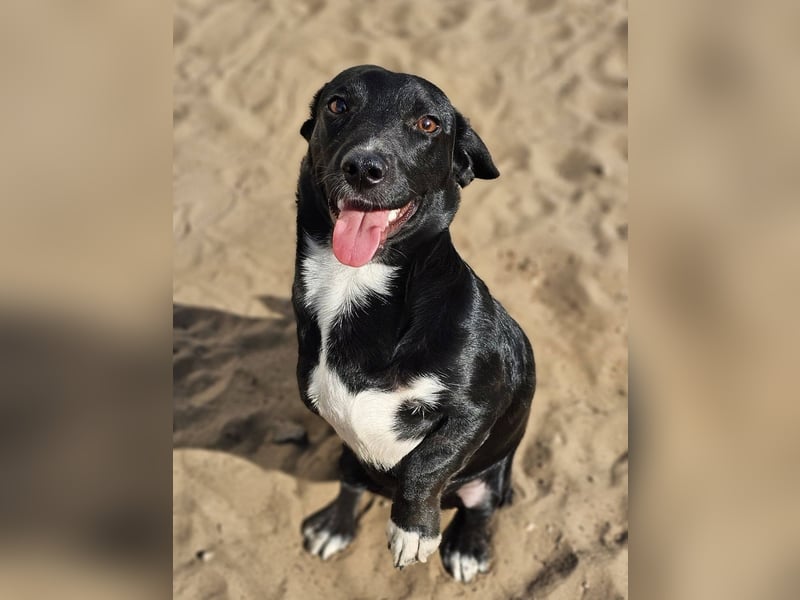 Ilse hat ein zauberhaftes, liebes Wesen