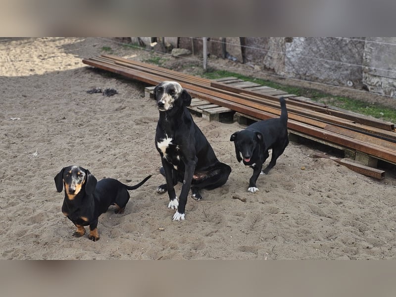 Ilse hat ein zauberhaftes, liebes Wesen