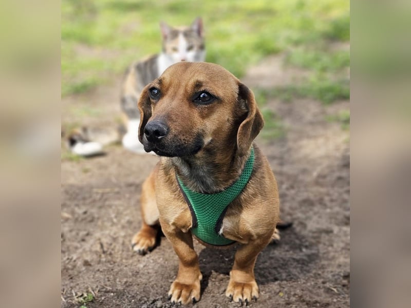 Poldine ist freundlich und aufgeweckt