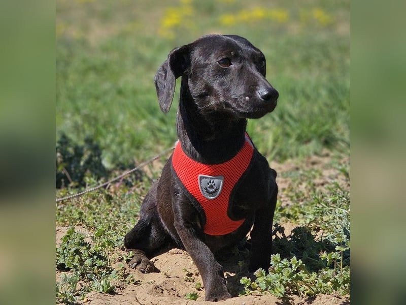 Anna zeigt ein gutes Sozialverhalten