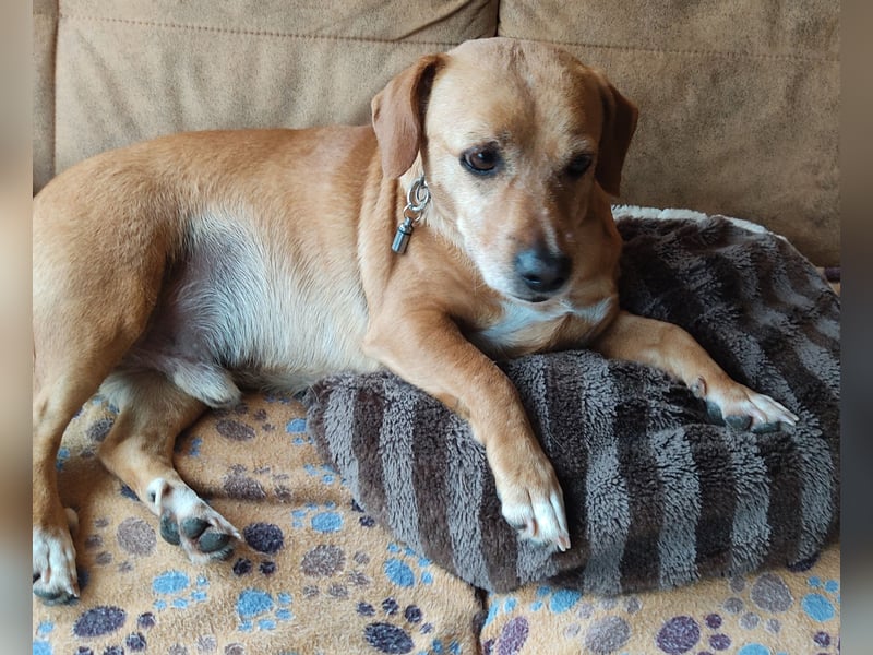 Albu - bereits in Deutschland auf PS