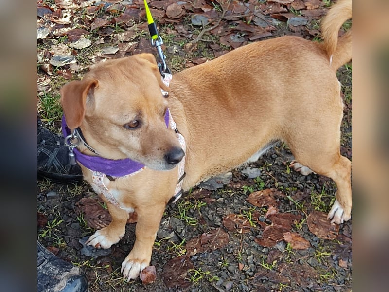 Albu - bereits in Deutschland auf PS