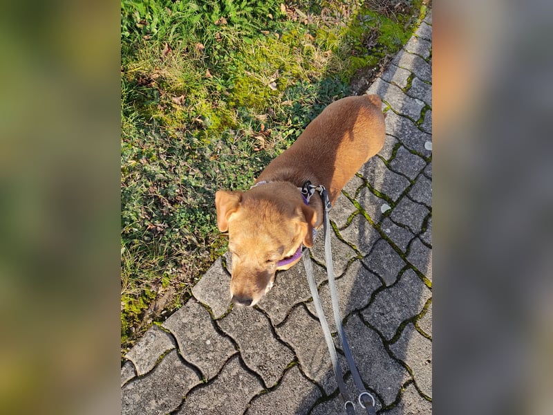 Albu - bereits in Deutschland auf PS