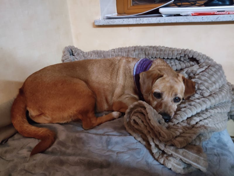 Albu - bereits in Deutschland auf PS