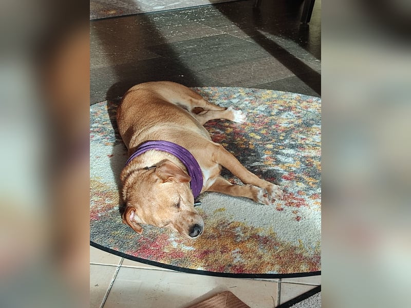 Albu - bereits in Deutschland auf PS